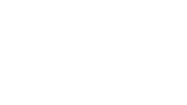 Automotive brand Audi